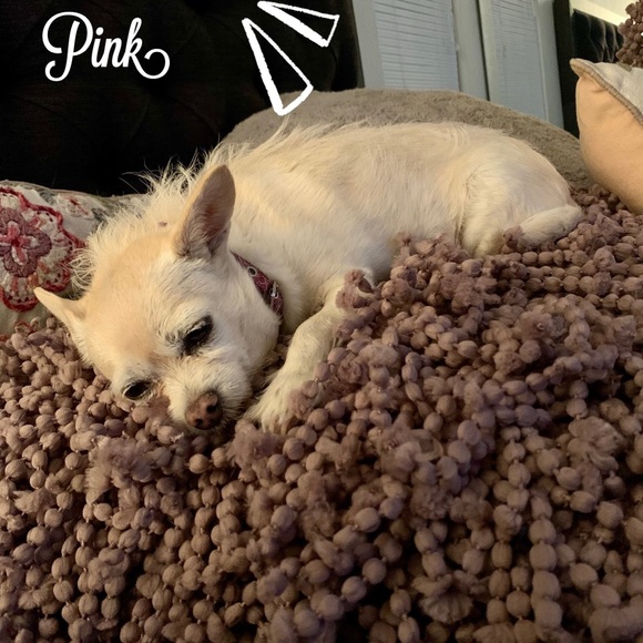 Dog Mom Bracelet 🐾 - Picture 9 of 10